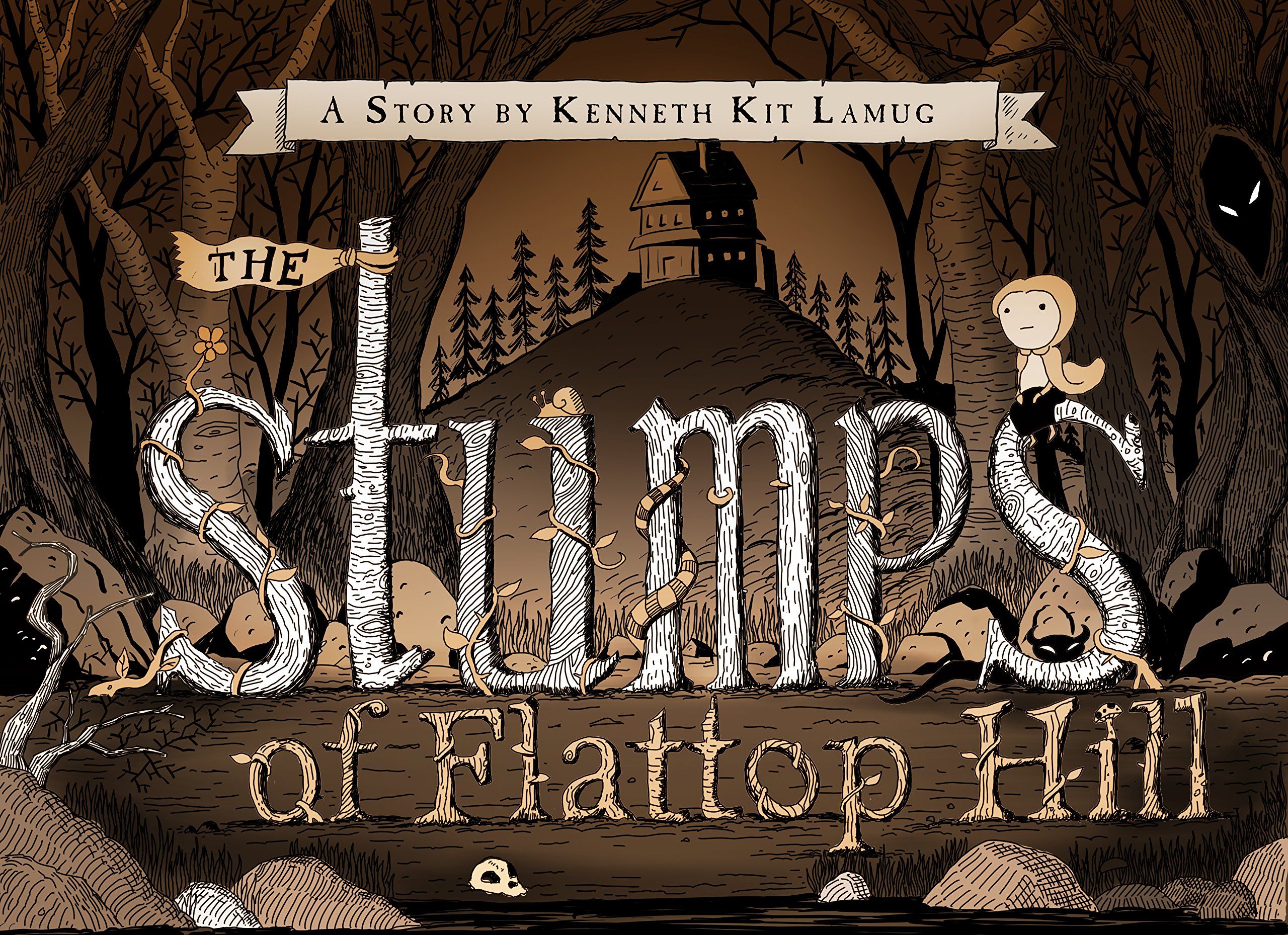 The Stumps of Flattop Hill book cover
