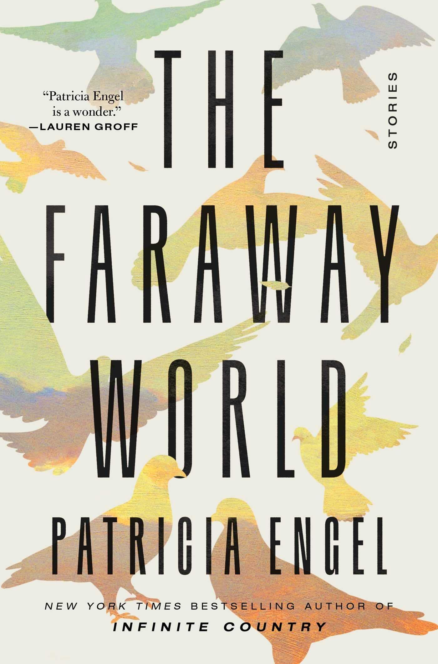 The Faraway World: Stories cover