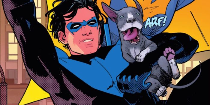 Image of Nightwing and his dog
