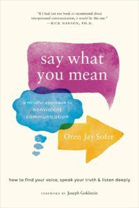 Cover of Say What You Mean by Oren Jay Sofer