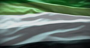 crinkled aromatic pride flag, a flag with dark green, light green, white, grey, and black stripes