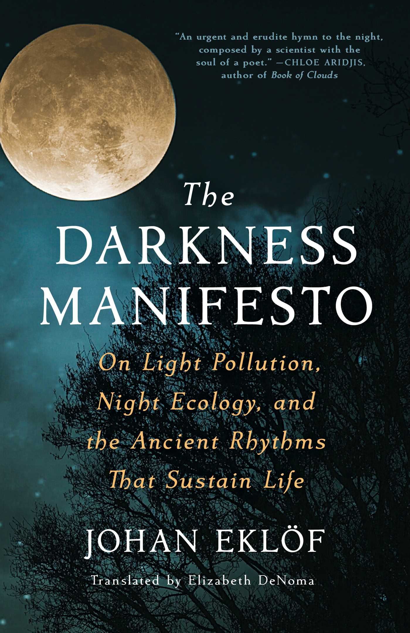 cover of The Darkness Manifesto