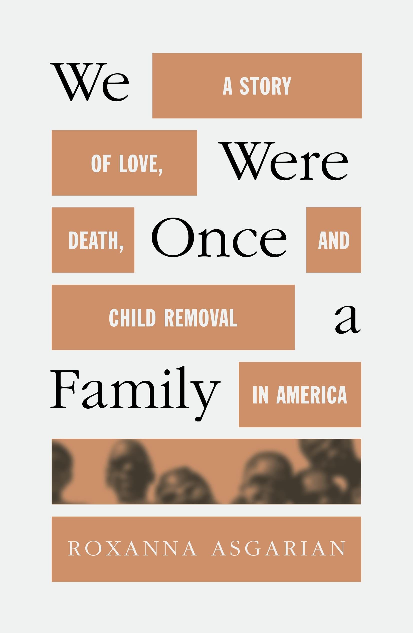 We Were Once a Family: A Story of Love, Death, and Child Removal in America cover 
