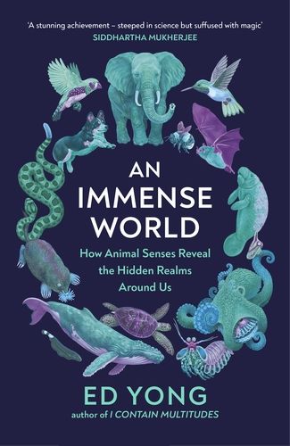 cover of the book An Immense World