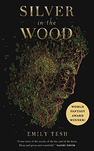 Book cover of Silver in the Wood