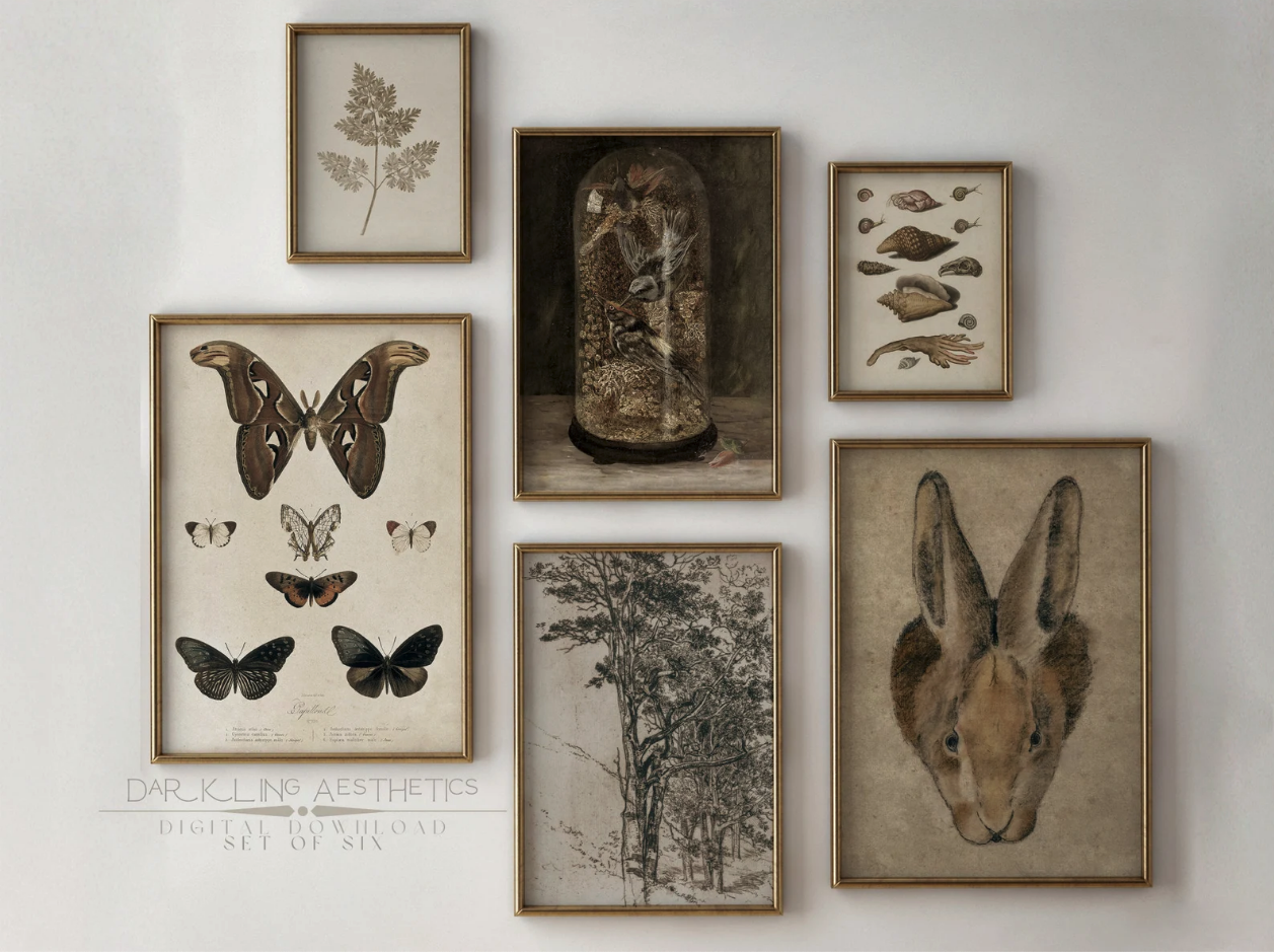 Six framed botanical art prints