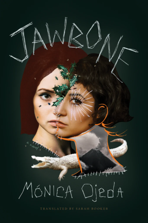 Jawbone Book Cover