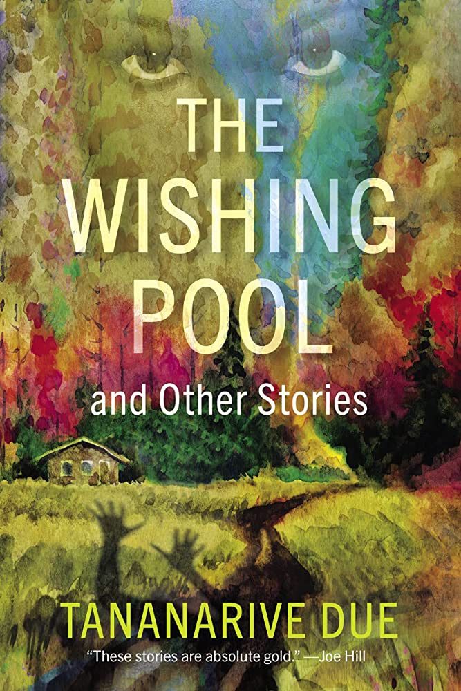 the wishing pool book cover
