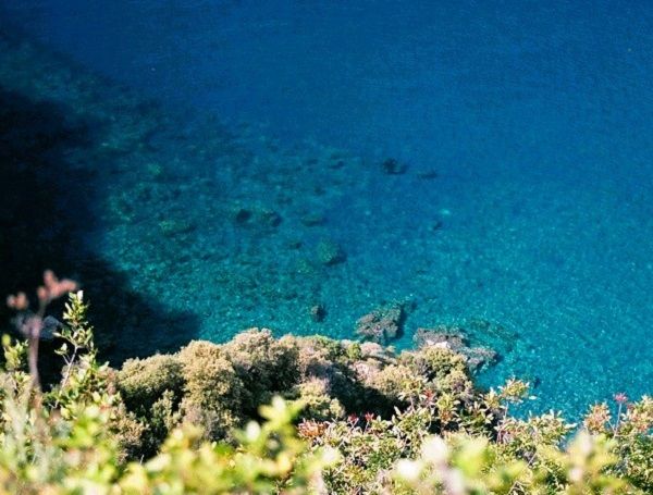 Image of deep azure blue water, looking down from a steep cliff face with small wildflowers in the foreground.