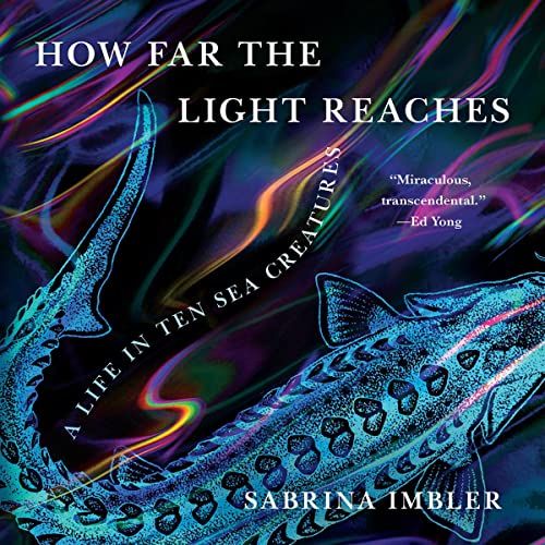 Audiobook cover of How Far the Light Reaches