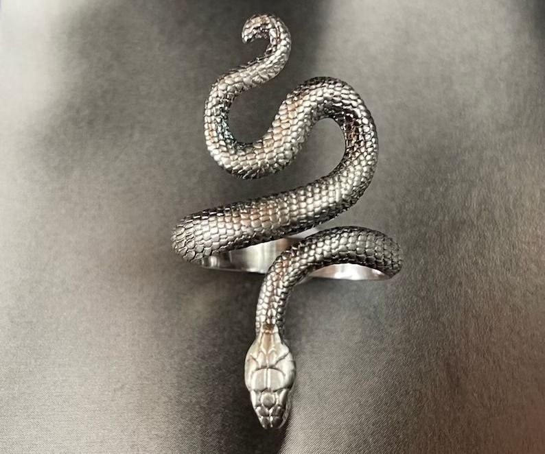 a photo of a silver snake ring