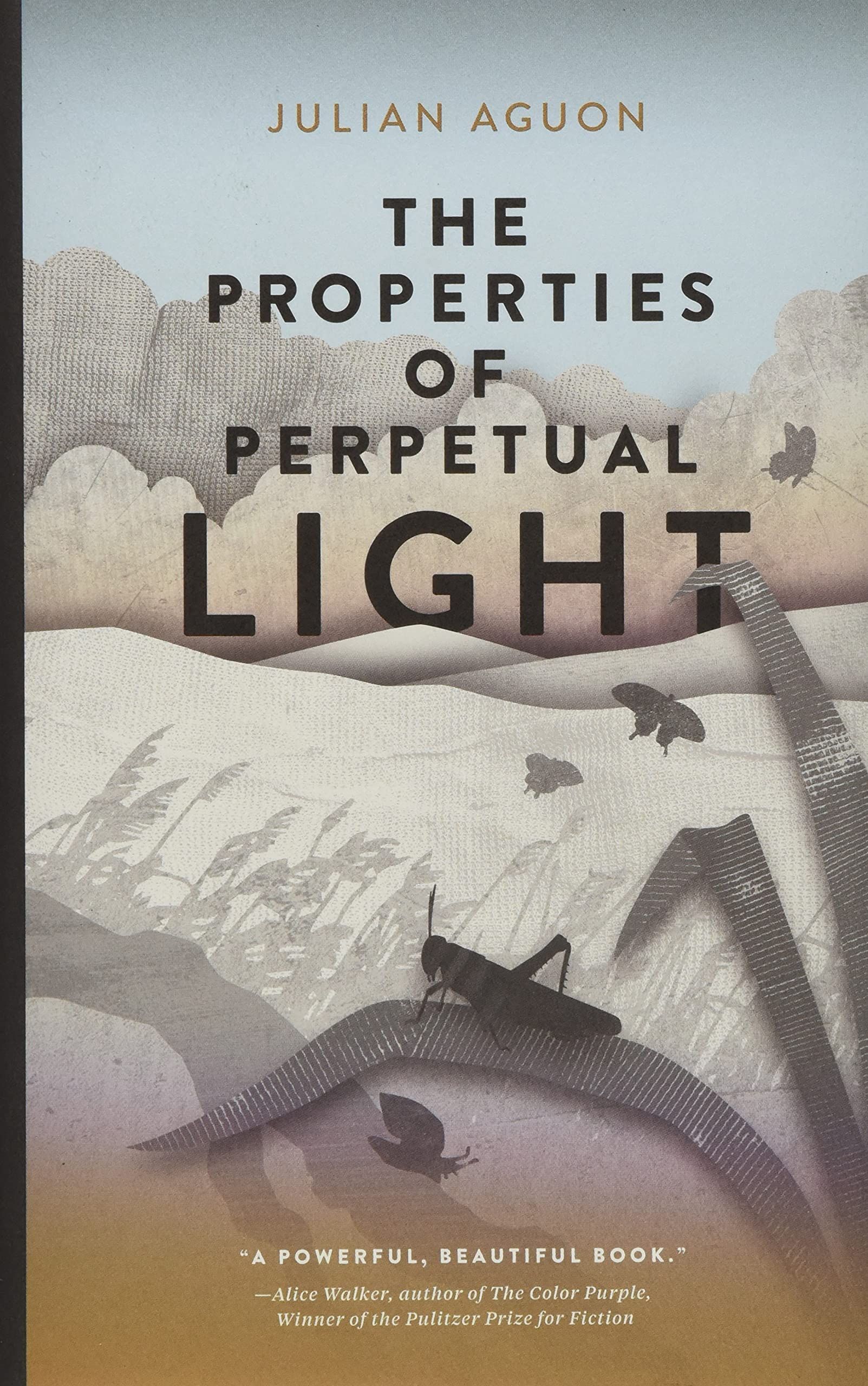 The Properties of Perpetual Light by Julian Aguon cover