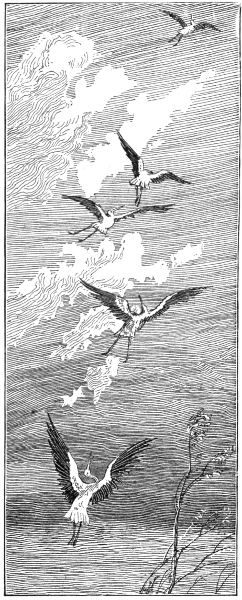 An illustration by Randolph Caldecott of three storks