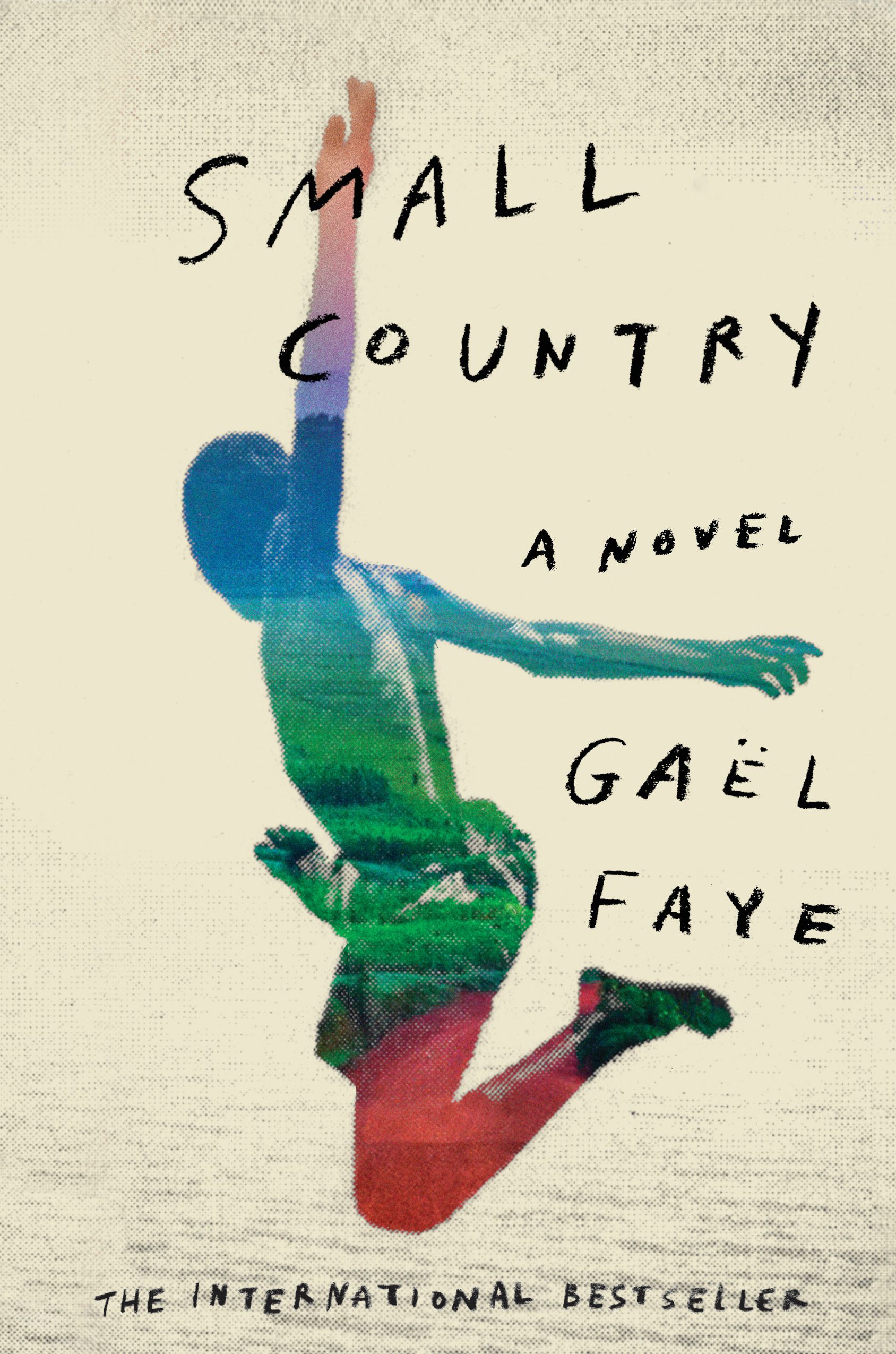 Small Country book cover