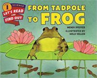 cover of From Tadpole to Frog lets read and find out