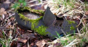 a black shoe overgrown with moss