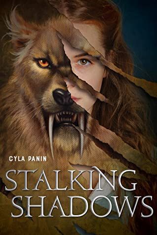 Stalking Shadows Book Cover