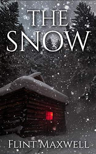 book cover for The Snow