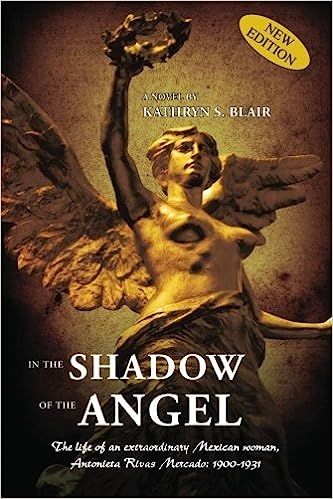 In the Shadow of the Angel by Kathryn S. Blair book cover