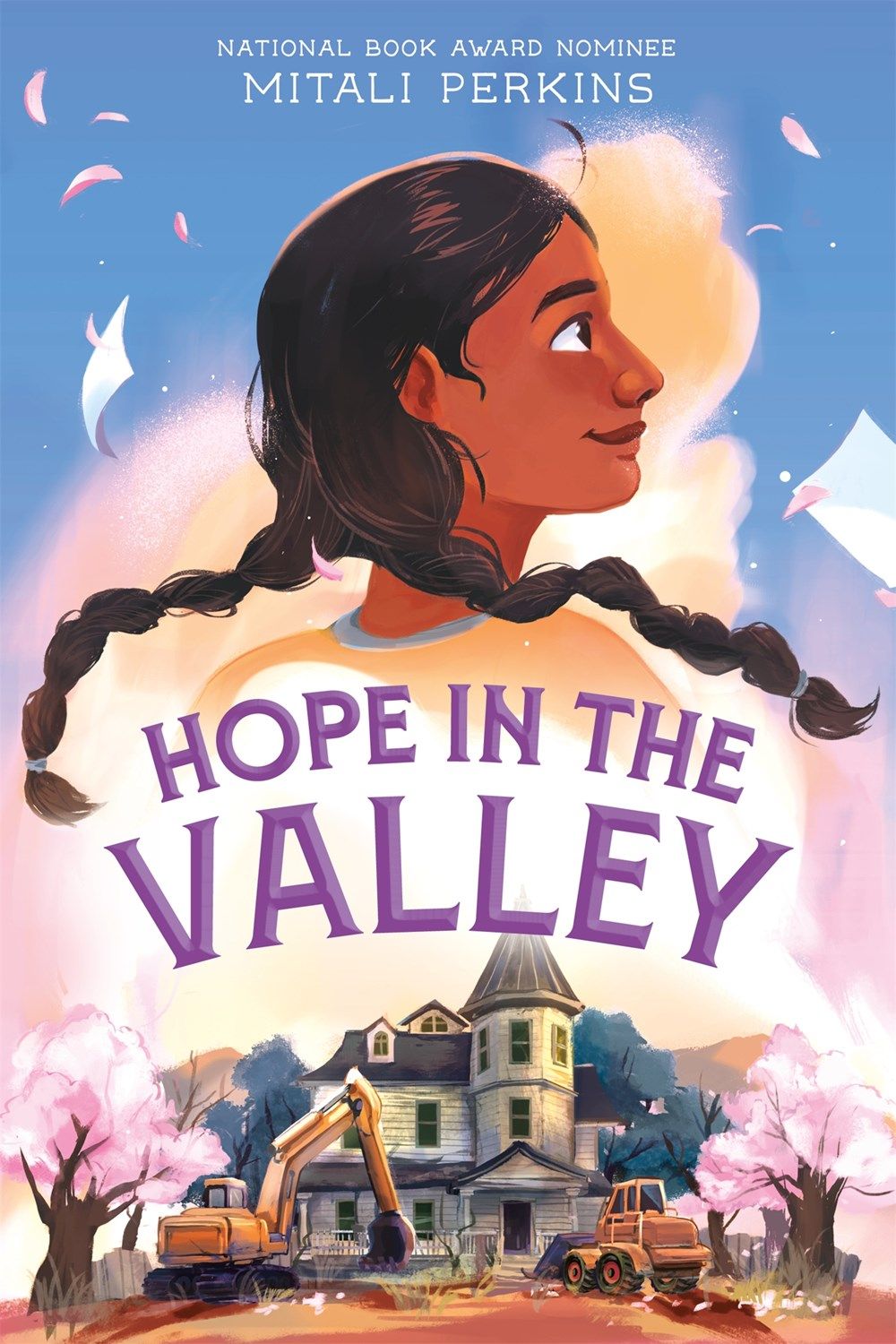 Cover of Hope in the Valley by Perkins
