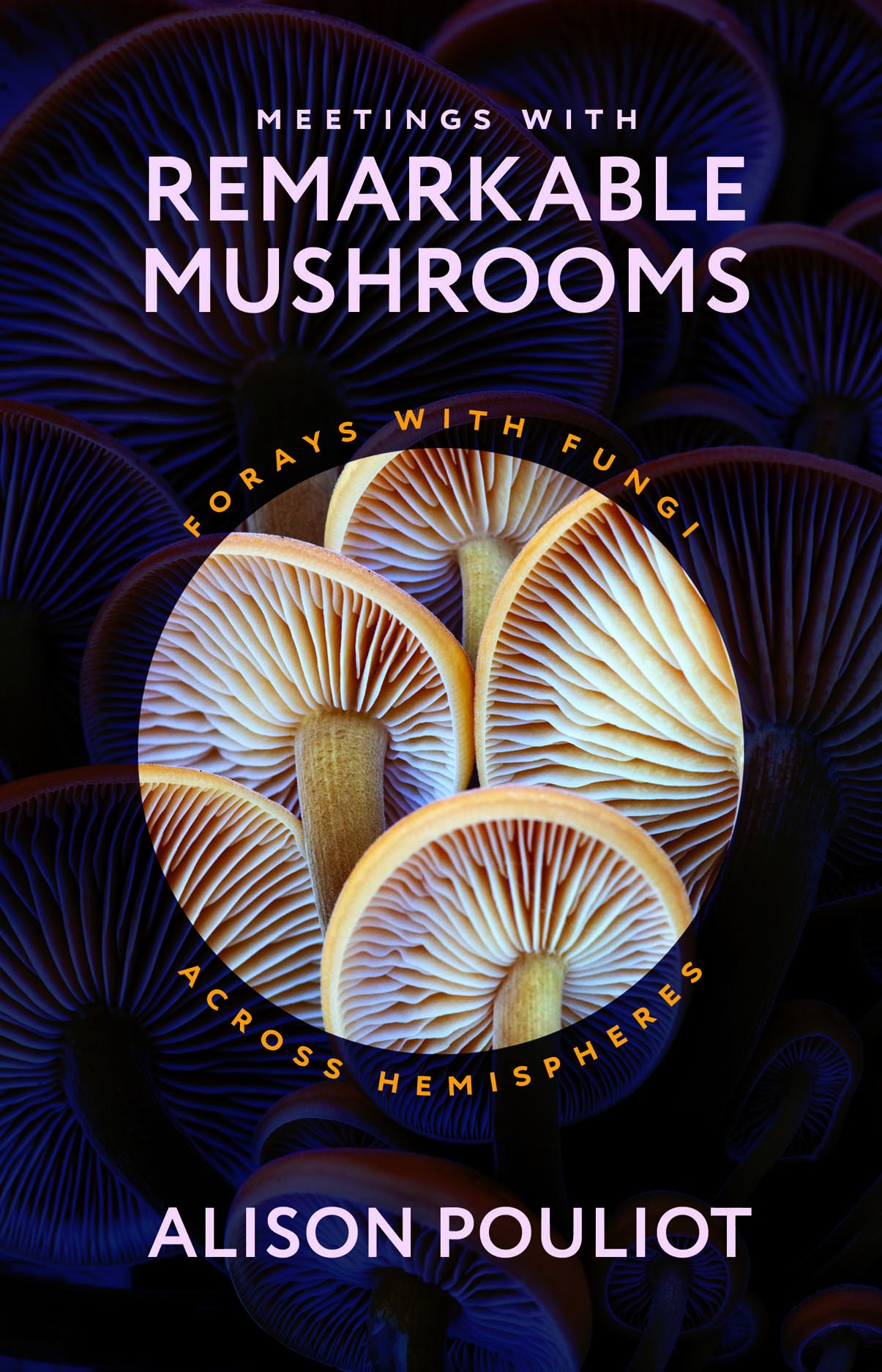 cover of Meetings with Remarkable Mushrooms