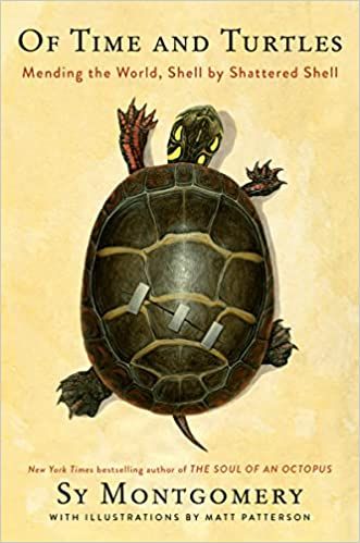 cover of Time and Turtles