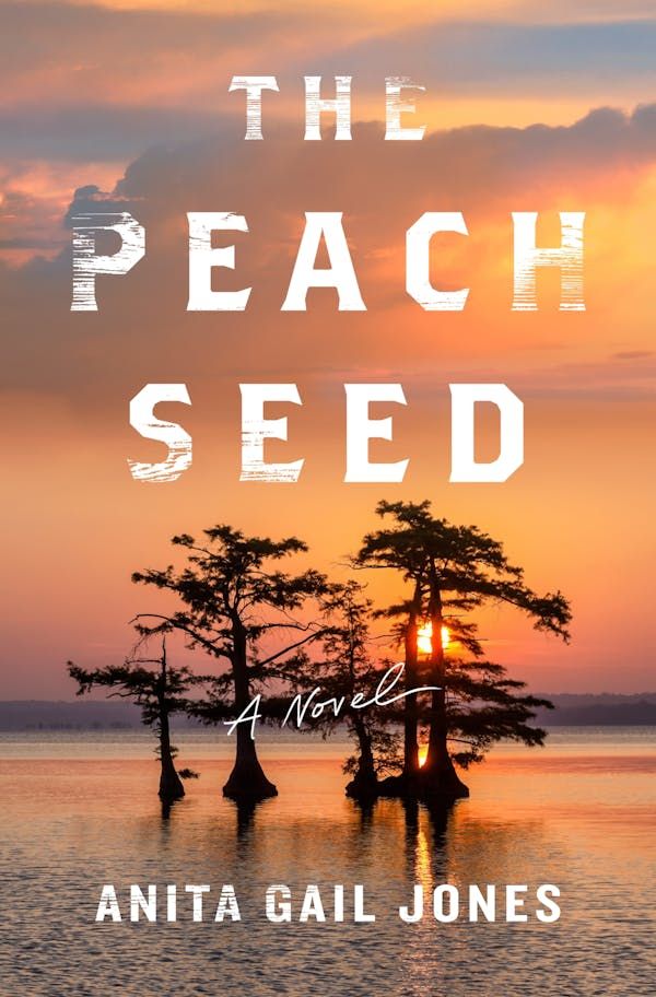 cover of The Peach Seed by Anita Gail Jones