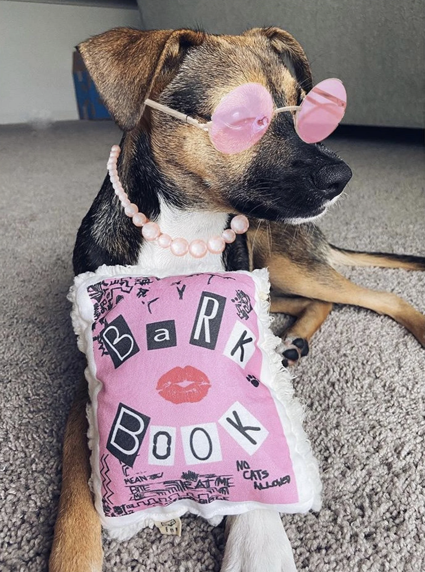 A brown, black, and white dog with a stuffed pink "Bark Book" toy designed to look like the Burn Book in Mean Girls. The dog is wearing round pink glasses and a pink pearl necklace, both photoshopped on.