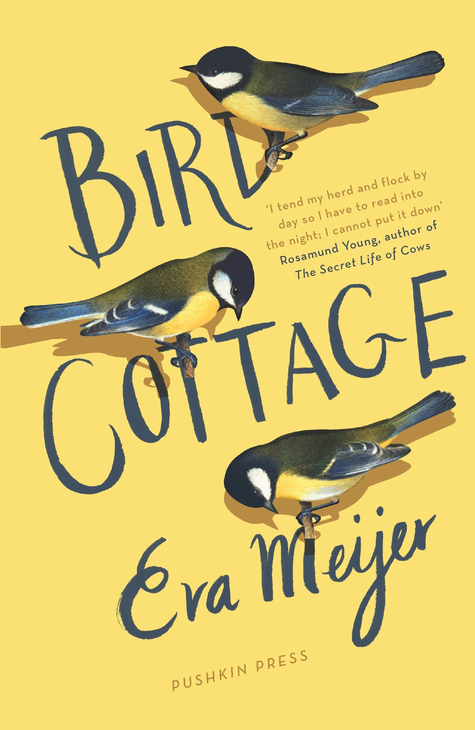 Bird Cottage by Meijer book cover
