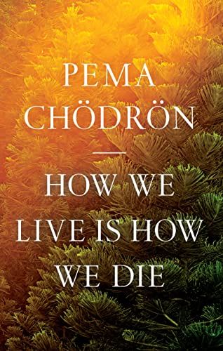 Cover of How We Live is How We Die
