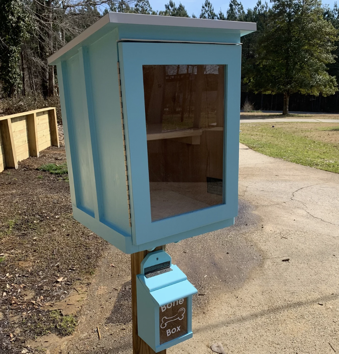 A wooden Little Free Library painted teal with a matching small wooden box underneath it that says "Bone Box"