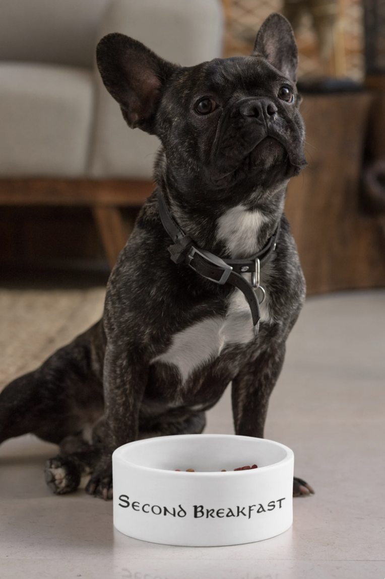 A gray and white French Bulldog with a round white food bowl that says "Second Breakfast" in an old timey font