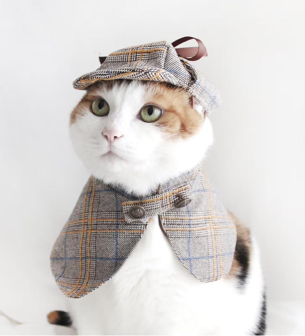 A white and orange cat posing very politely in a Sherlock Holmes style cap and hat