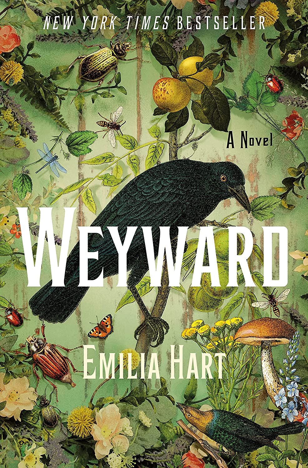 Book cover of Weyward by Emilia Hart