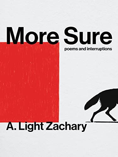 Cover of More Sure