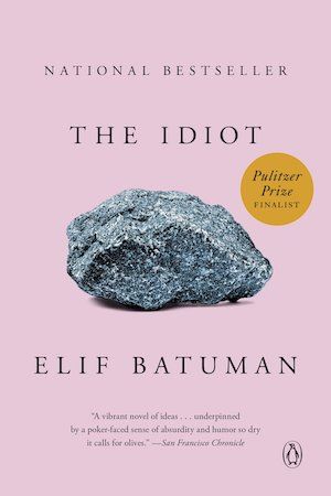 The Idiot by Elif Batuman book cover
