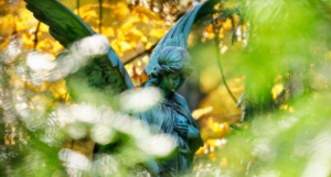 a photo of an old angel statue in a graveyard, seen through leaves