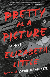 Pretty as a Picture by Elizabeth Little book cover
