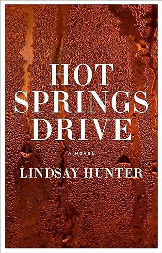 cover of Hot Springs Drive by Lindsay Hunter; image of amber glass covered in condensation