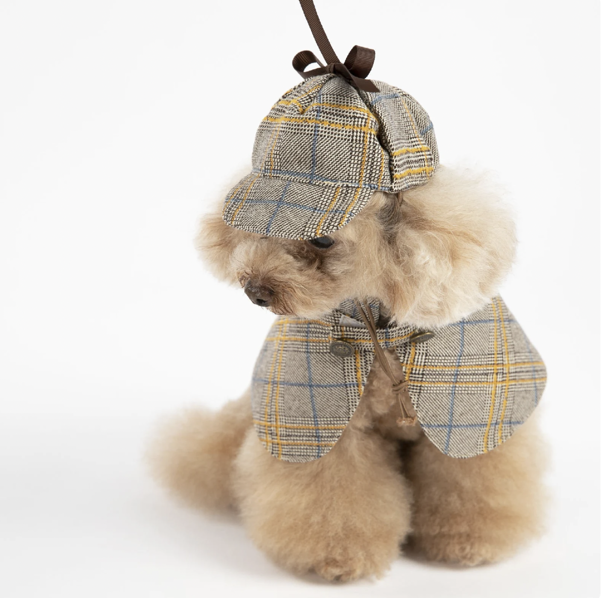 Fluffy dog in plaid cape and deerstalker hat