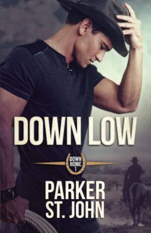 Cover of Down Low by Parker St. John