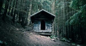 small wooden cabin in a dark forest