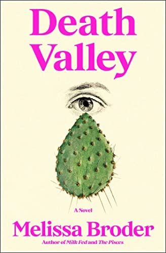 cover of Death Valley by Melissa Border