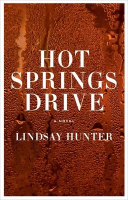 cover of Hot Springs Drive by Lindsay Hunter