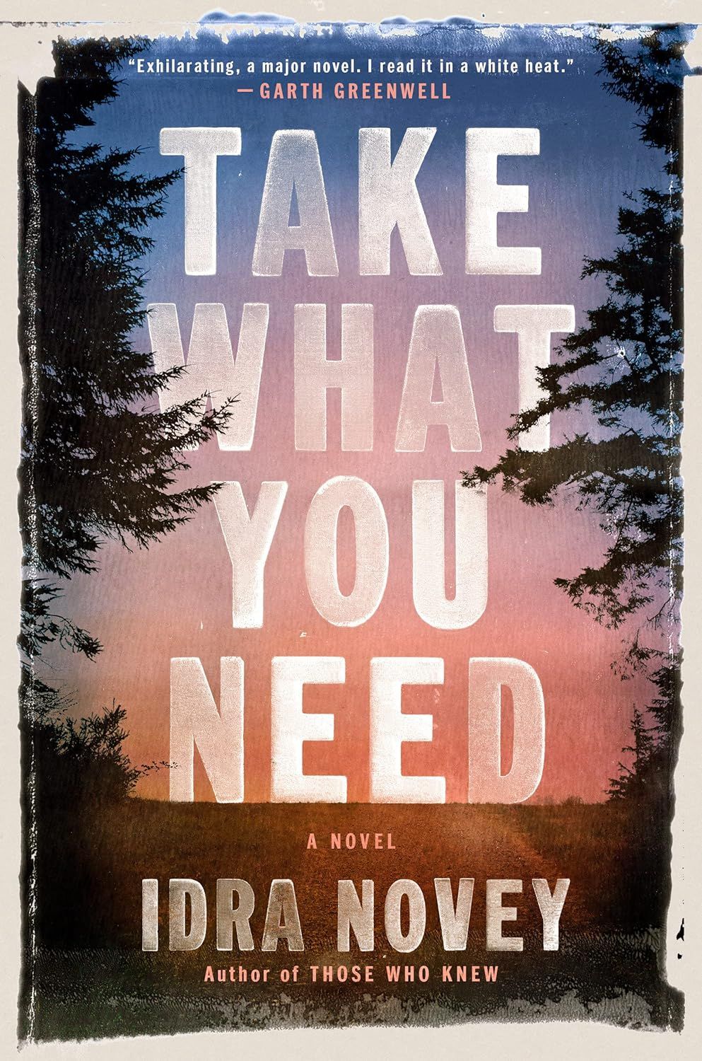 a graphic of the cover of Take What You Need by Idra Novey