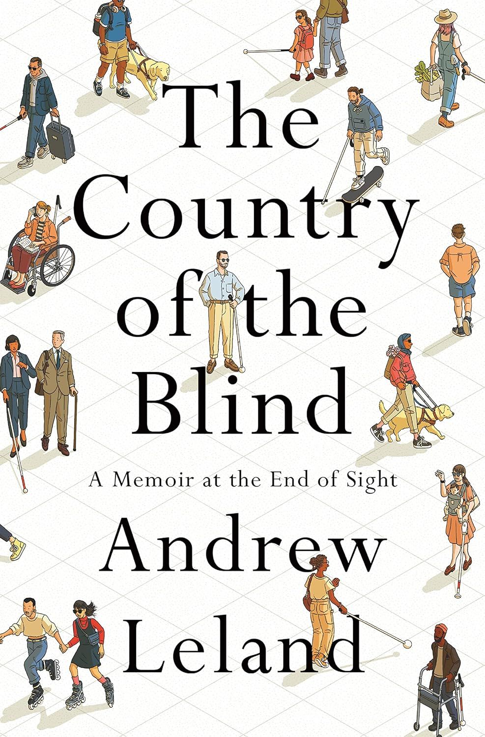 a graphic of the cover of The Country of the Blind by Andrew Leland