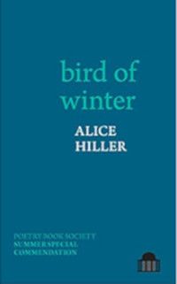 cover of bird of winter by Alice Hiller