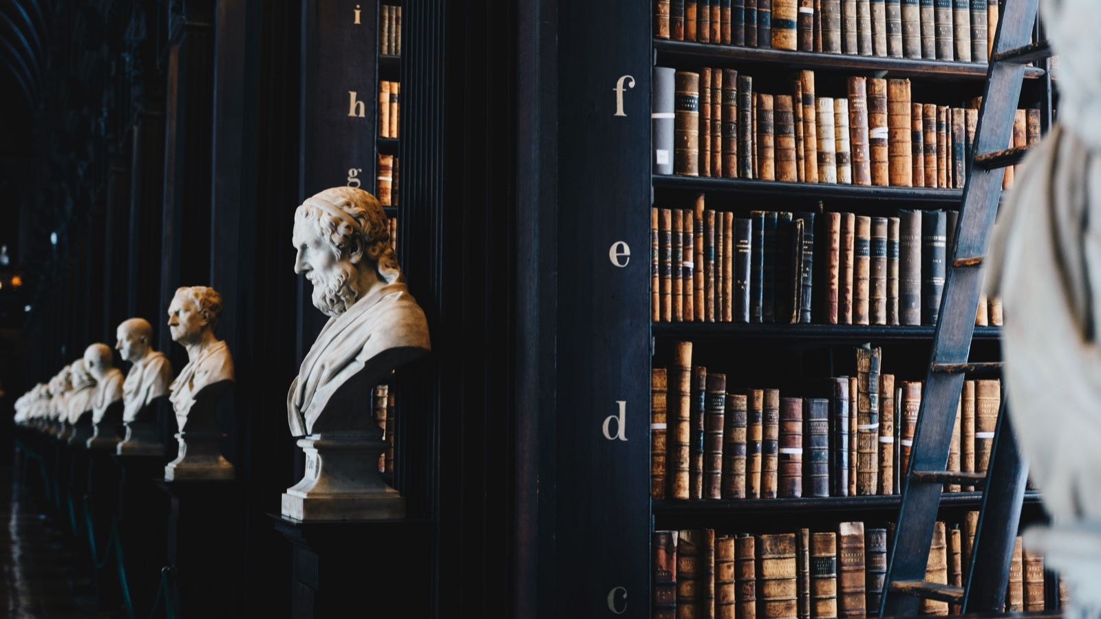 stacks in an academic library of dark wood with marble busts at each bookcase