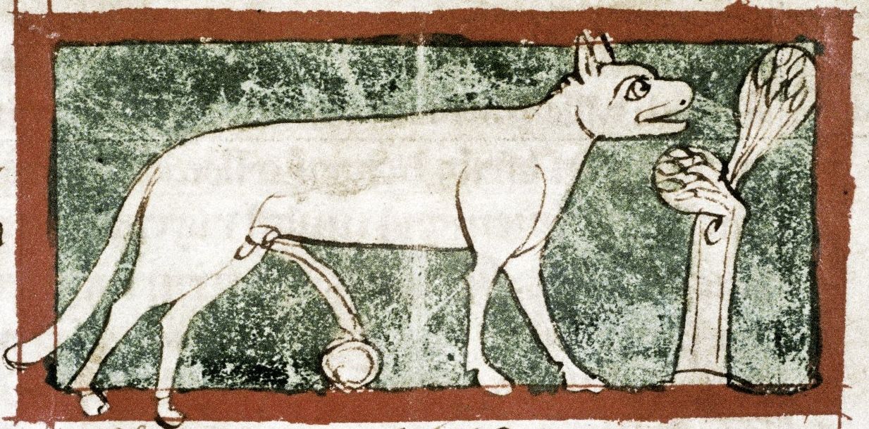 medieval illustration of a lynx
