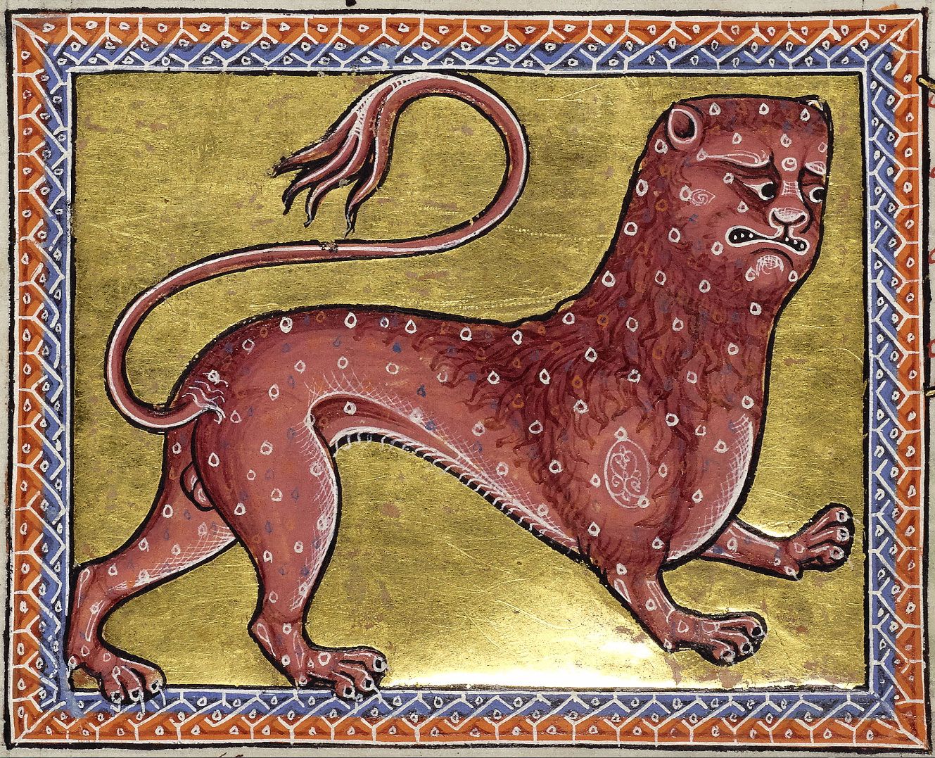 medieval illustration of a pard